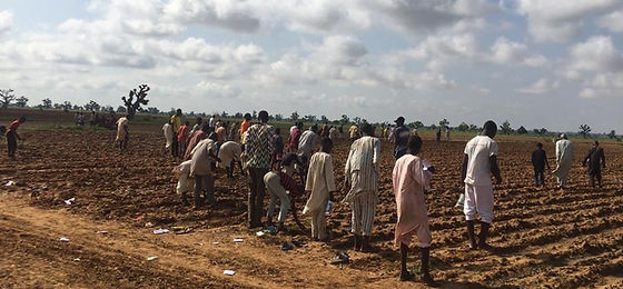 Zamfara State Projects